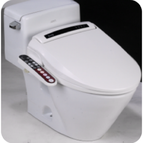 Electronic Bidet Seat