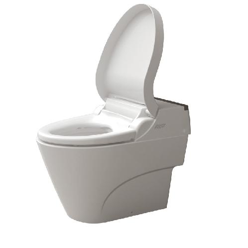 All in one bidet